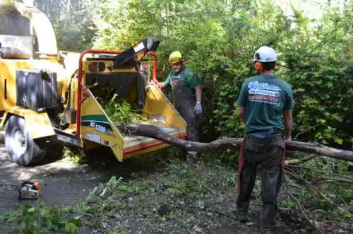 tree services Bartelso